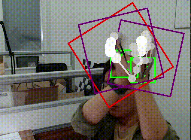 HandDet.gif