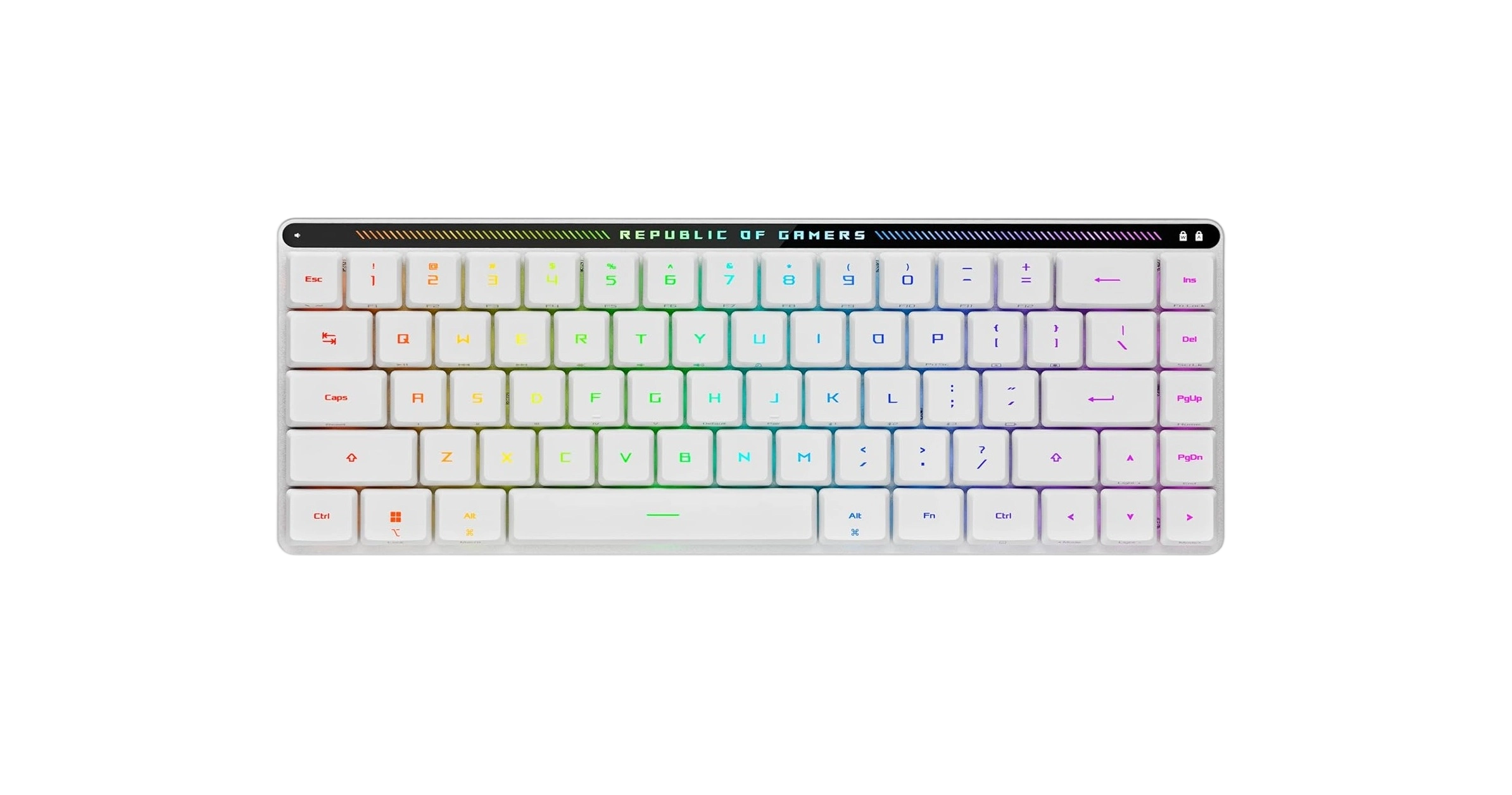 ROG RXLP